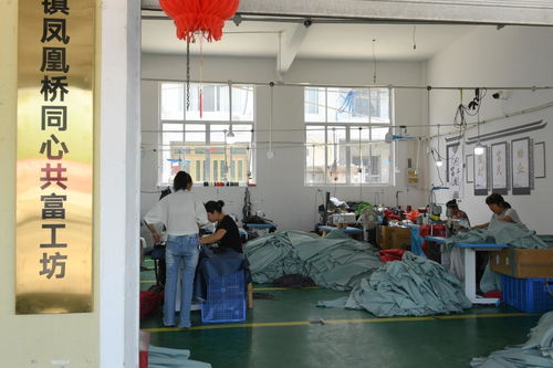 村里建起“沒有圍墻的工廠”——浙江臨?！肮哺还し弧币约夹g(shù)服務(wù)助力農(nóng)民家門口就業(yè)增收