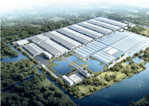 浙江千噸級南美白對蝦工廠化養殖場 融合兩大全球先進技術，引領產業新篇章